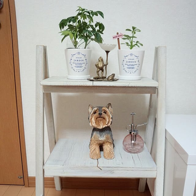 mamiさんの実例写真