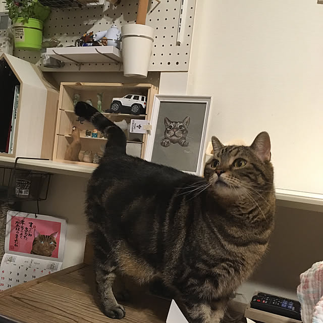 mikomaruさんの実例写真