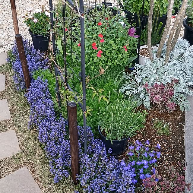 kaanaさんの部屋