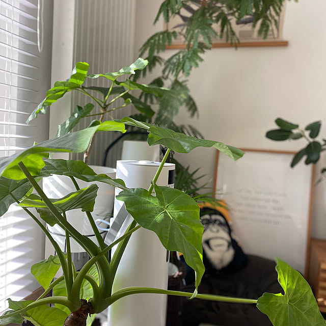 mmm.さんの部屋