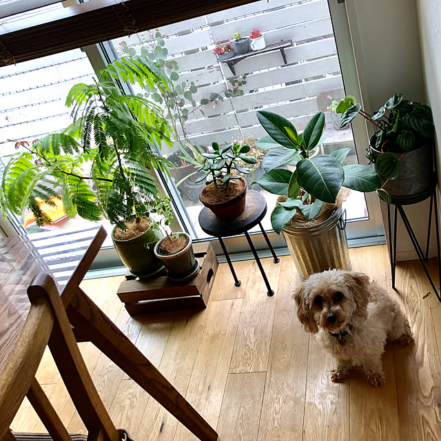 moca.yさんの実例写真