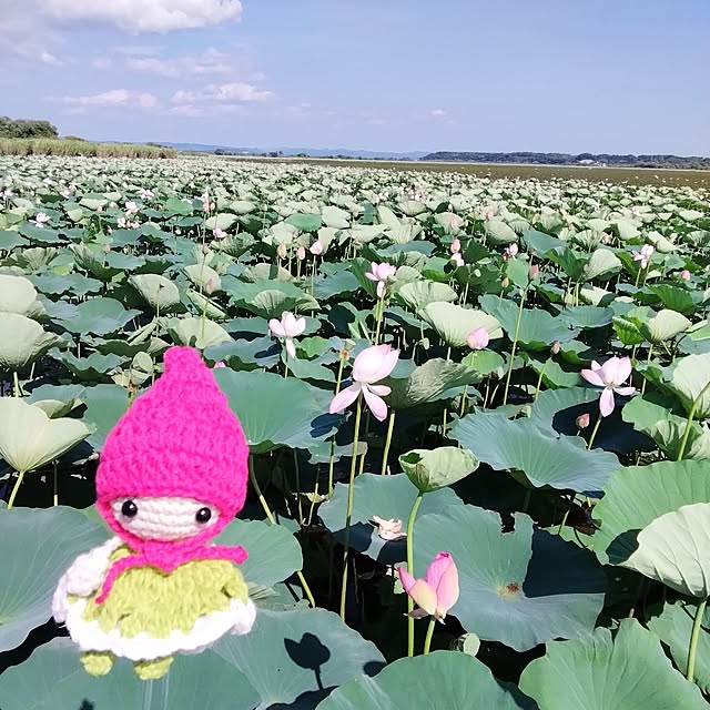 fujiyayuさんの実例写真