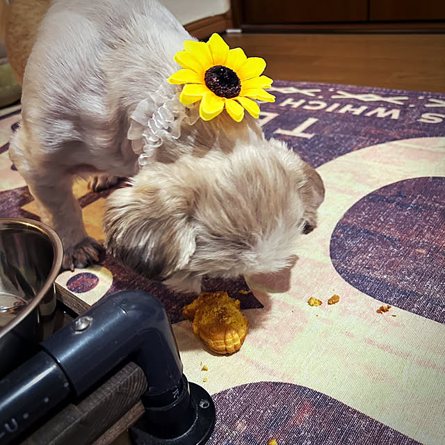 lenkaさんの部屋
