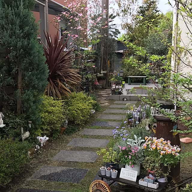 michi-michi39さんの実例写真