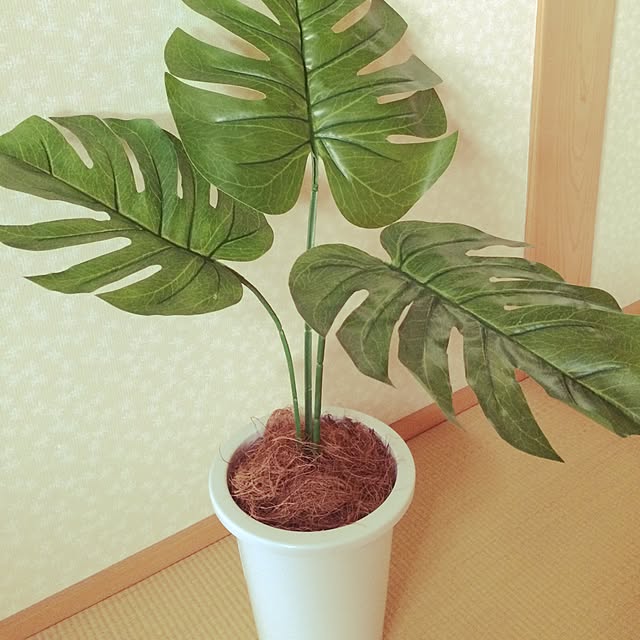 -Riley-mama.-さんの実例写真