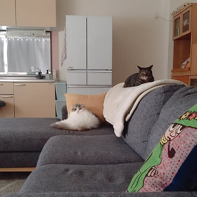 anさんの実例写真