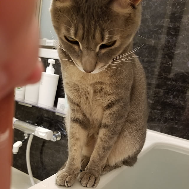 yukiさんの実例写真