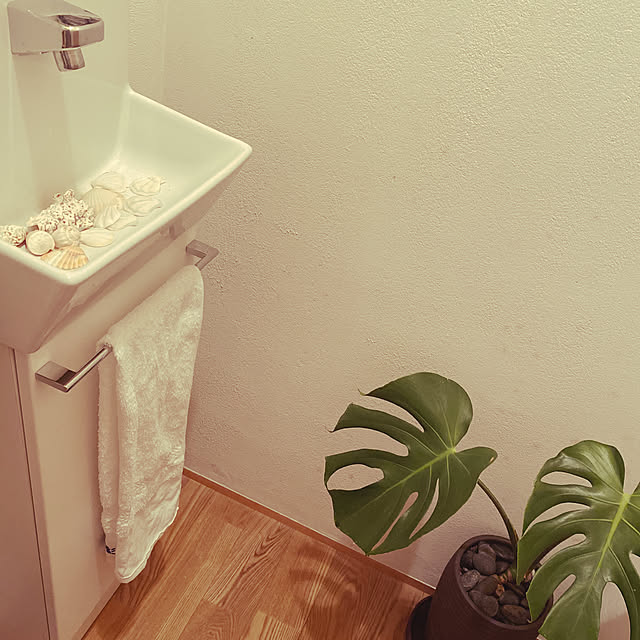 トイレのインテリア/貝殻インテリア/バス/トイレ/INAX/貝殻で水ハネ防止...などのインテリア実例 - 2022-04-22 19:40:37