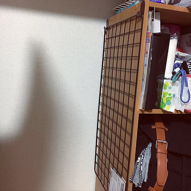 k_dinoさんの実例写真