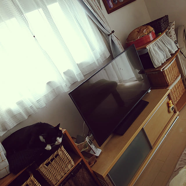 koromaroさんの実例写真