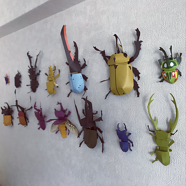 カブトムシとクワガタのインテリア実例 | RoomClip(ルーム カブトムシとクワガタのインテリア実例 | RoomClip(ルーム