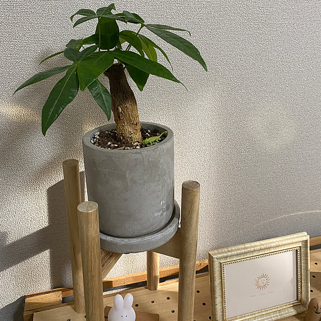 Aryさんの実例写真