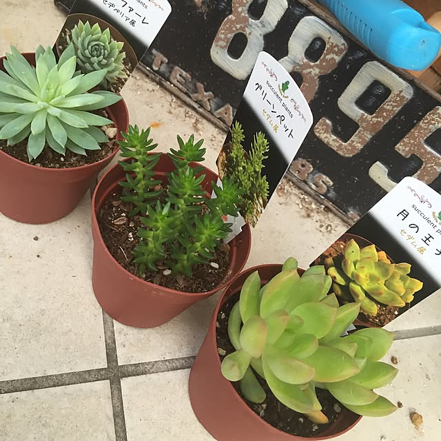 chikachanさんの実例写真