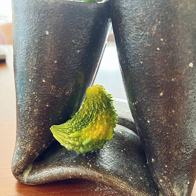 aaaさんの実例写真