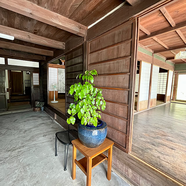cotaさんの部屋