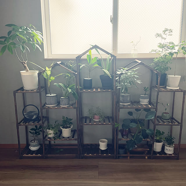 ikuzakさんの部屋