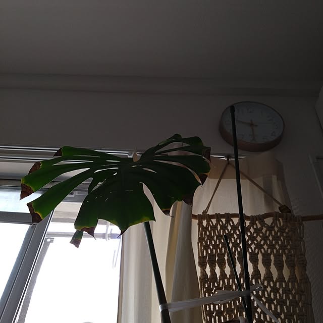 maki0828さんの実例写真