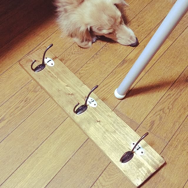 RICOさんの実例写真