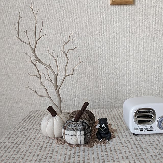 MIKNさんの部屋