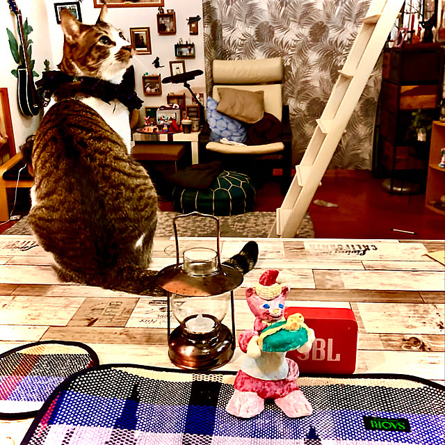 jijiさんの実例写真