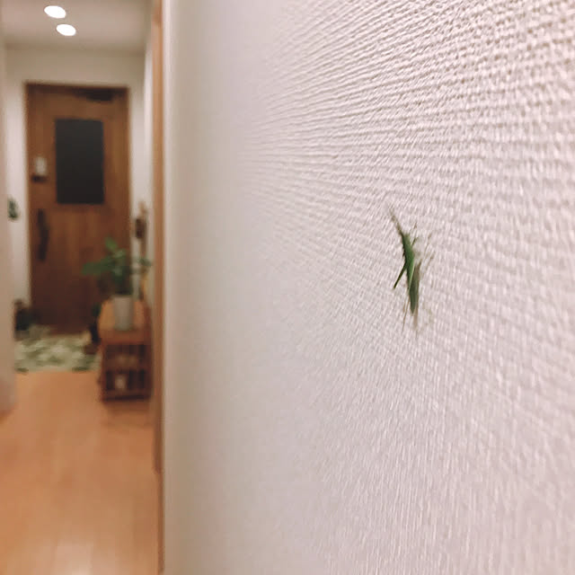 rizumu4649さんの実例写真