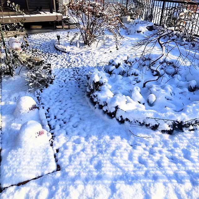 NSDさんの実例写真