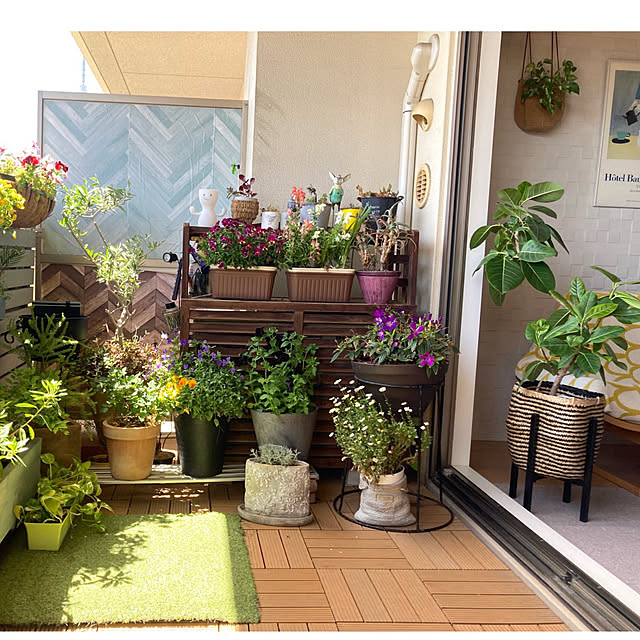 marukoさんの部屋