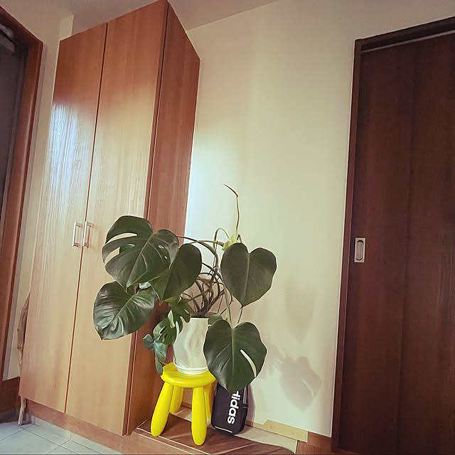 cyanさんの実例写真