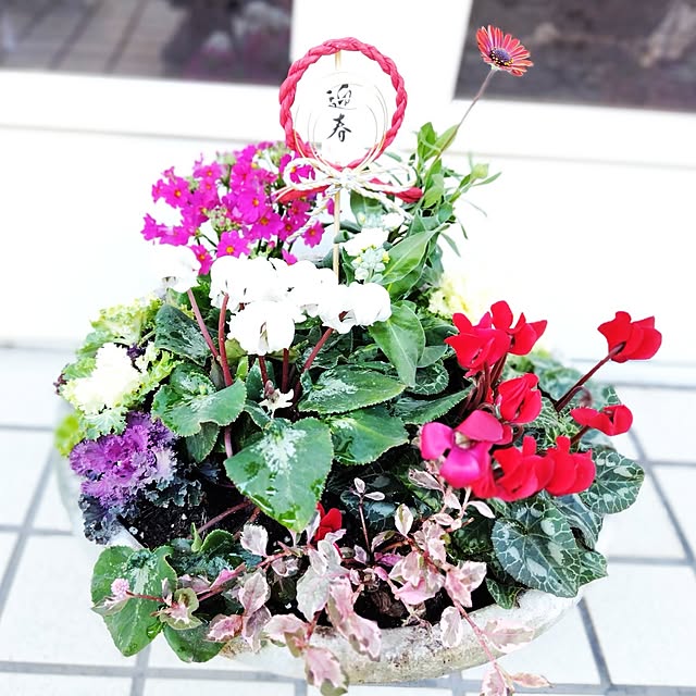 katさんの実例写真