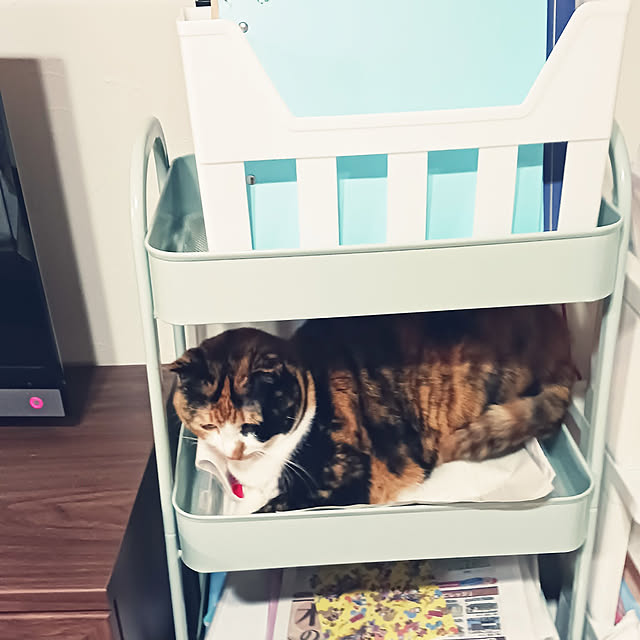 aiさんの実例写真