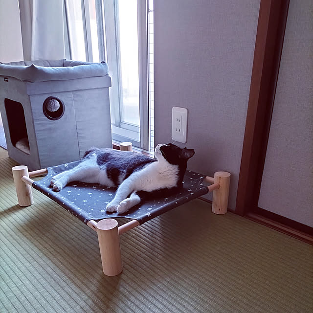 hihaさんの実例写真