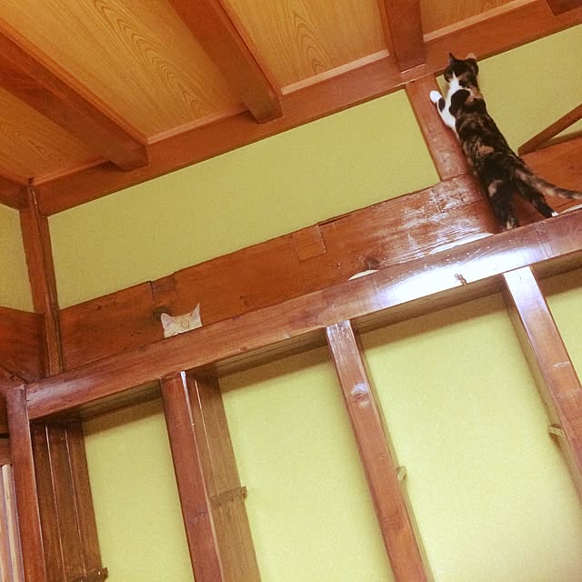 choroさんの実例写真