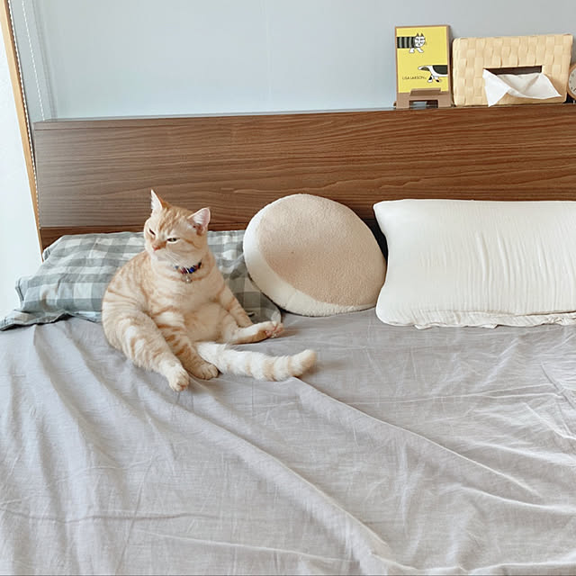 m.k.mさんの実例写真