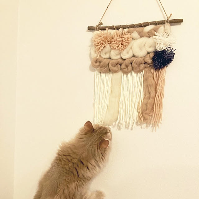 makoさんの実例写真