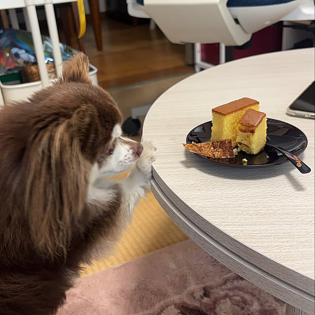 chIoeさんの部屋