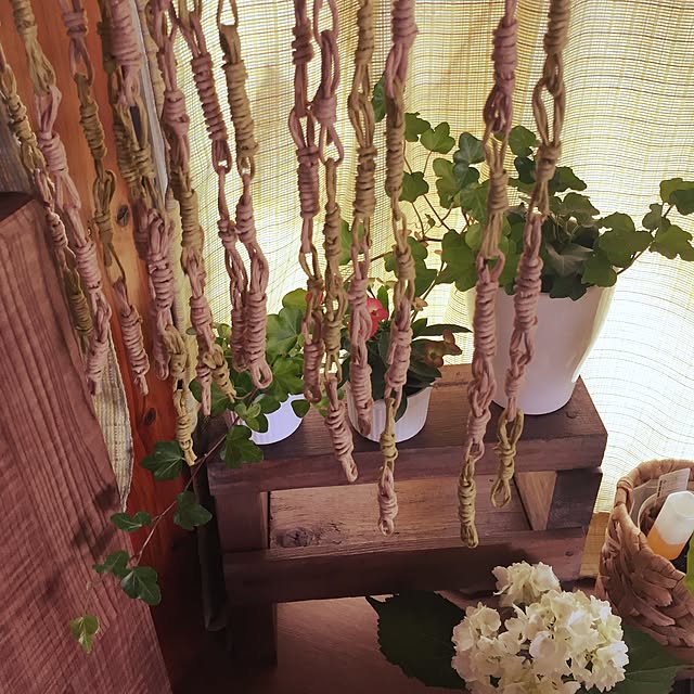 棚/セリア/観葉植物/雑貨/ナチュラル...などのインテリア実例 - 2016-06-11 14:08:42