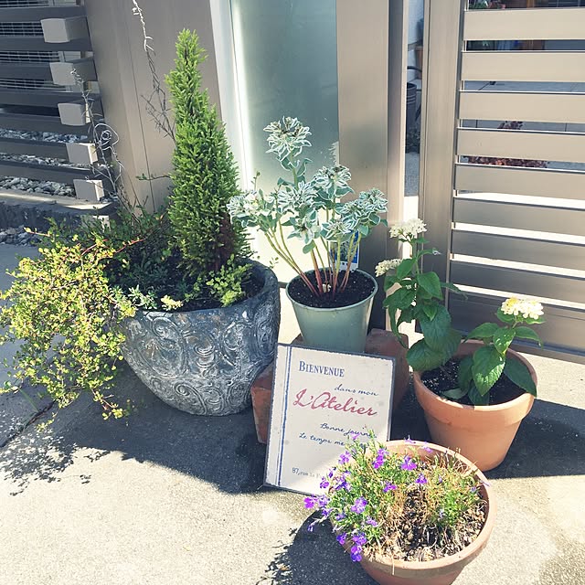 mokichiさんの実例写真