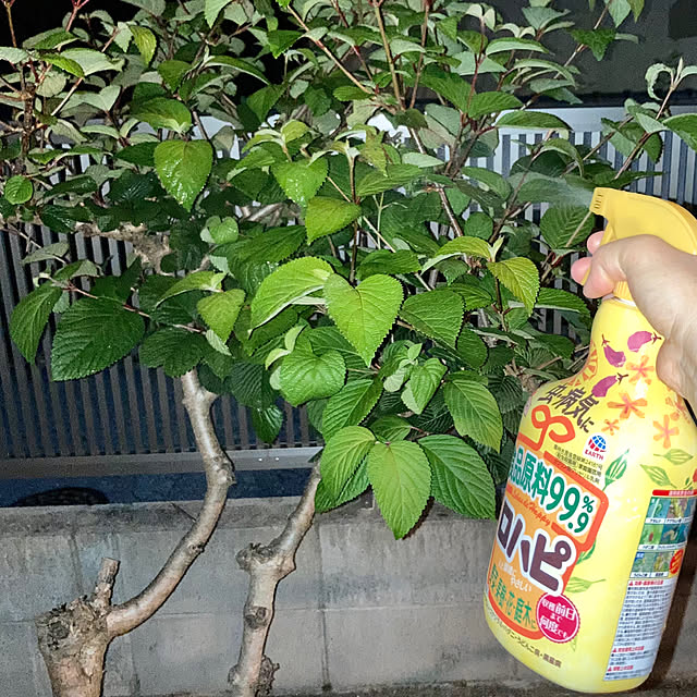bambiさんの実例写真