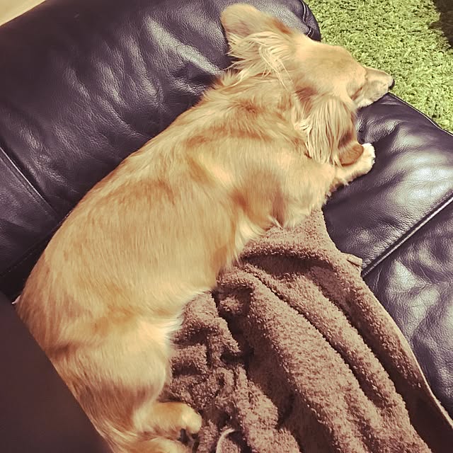 mariaさんの実例写真