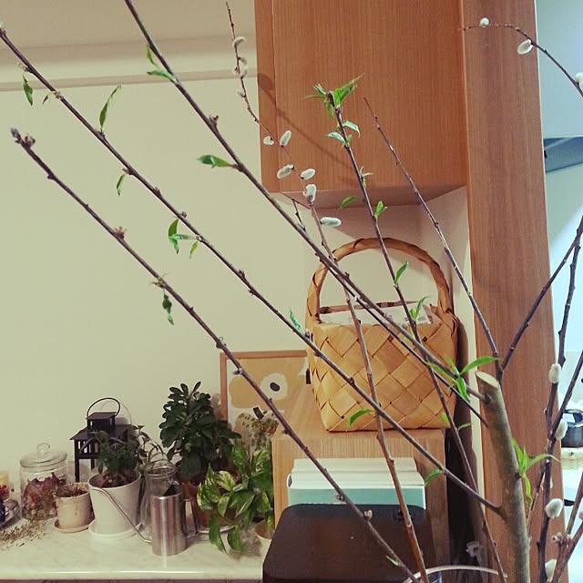 anrinyuさんの実例写真