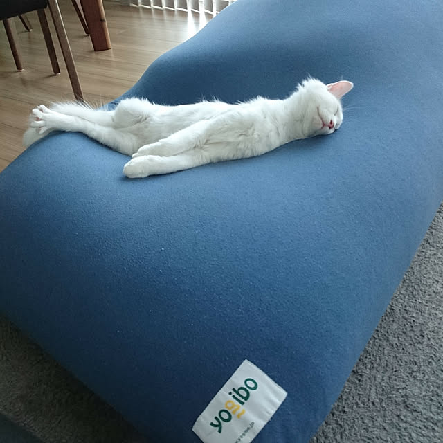 hanaさんの実例写真