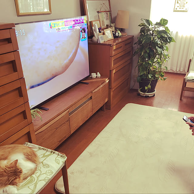 uchidaizuさんの実例写真