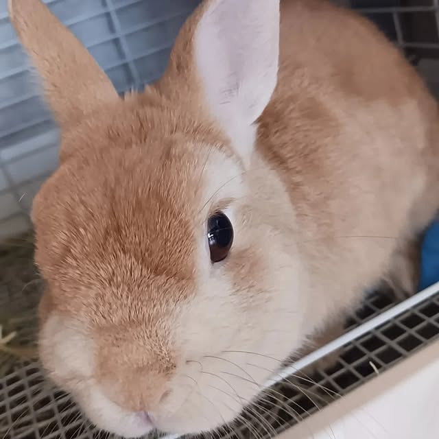 aiさんの部屋