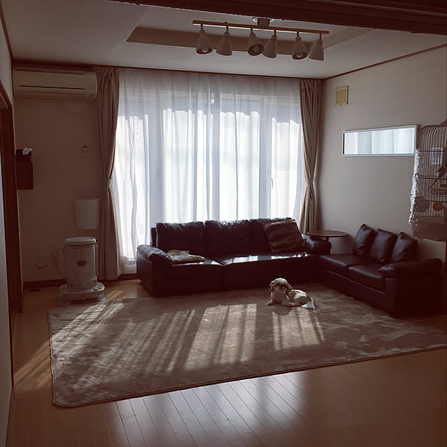 my_homeのarne-壁掛け 棚 扉付き ウォールシェルフ ボックス 白 扉つき ウォールラック 壁掛けシェルフ ウォールボックス ウォールキャビネット 幅60cm ラック ホワイト 収納 収納ボックス おしゃれ 吊り戸棚 食器棚 シェルフ 戸棚 吊戸棚 リビング収納 木製 石膏ボード 幅60 WB7-DX B-S ★の家具・インテリア写真