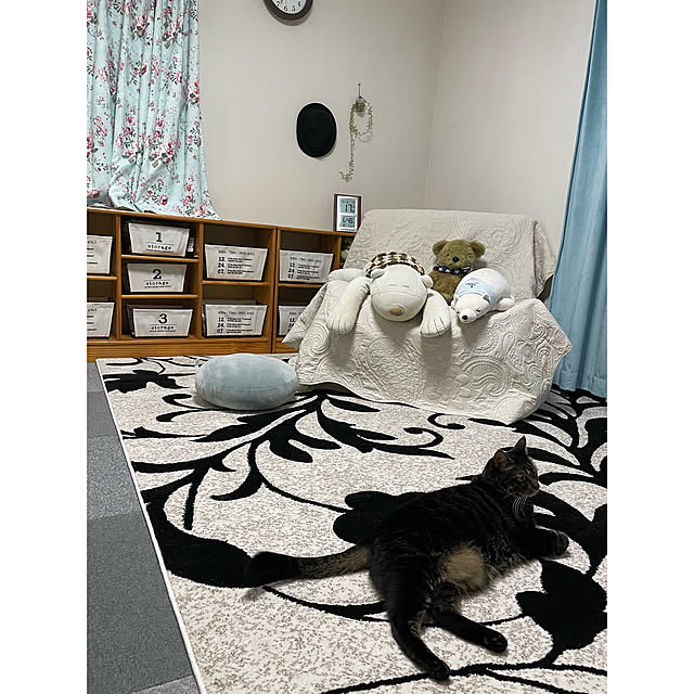 momocchiさんの実例写真