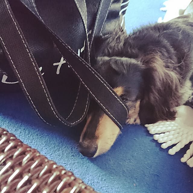 cocosorasakuさんの実例写真
