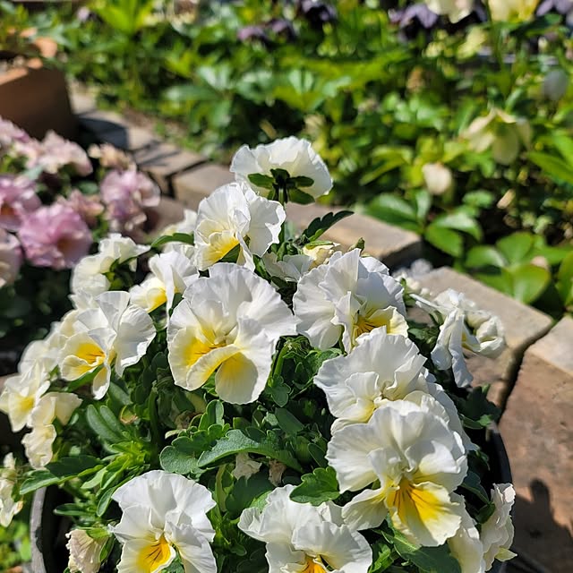 VIORAさんの実例写真