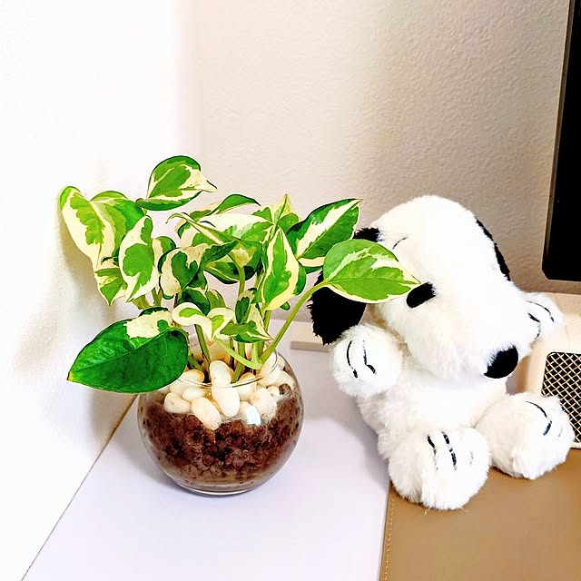 esakaさんの部屋