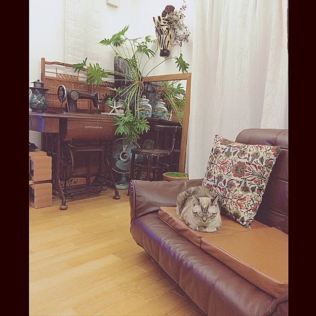 mjさんの実例写真