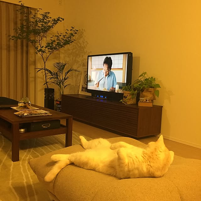 y.k.0123さんの実例写真